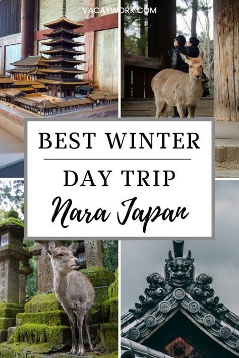 Collage featuring Nara’s famous pagoda model, a close-up of a deer, and traditional temple architecture. Text overlay: 'Best Winter Day Trip - Nara Japan Nara Japan Winter, Nara Deer Park, Japan In Winter, Winter Start, Nara Deer, Sika Deer, Start Of Winter, Winter Trip, Nara Japan