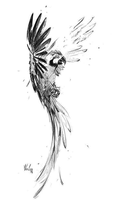 Macaw Sketch, Colombian Tattoo Ideas, Macaw Tattoo, Parrot Sketch, Giraffe Sketch, Parrot Tattoo, Parrot Drawing, Animal Tattoo Ideas, Pen Art Work