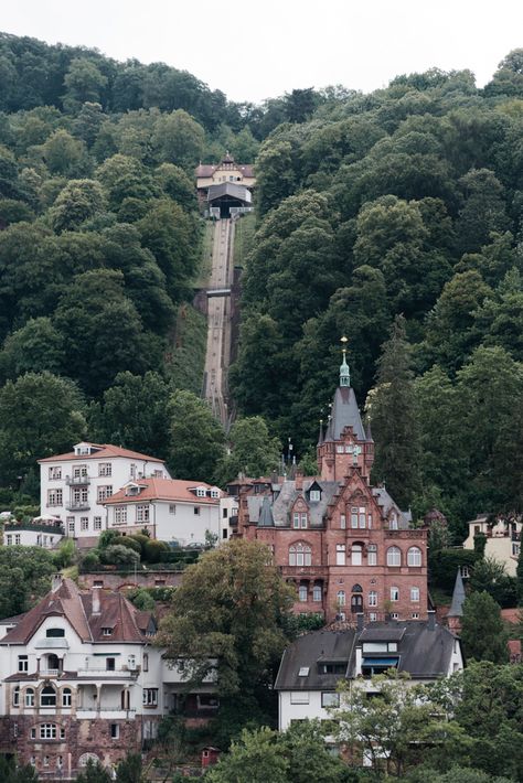 Top Things to Do in Heidelberg, Germany - For the Love of Wanderlust October Fest, Germany Trip, Heidelberg Germany, Holiday Wishlist, Cities In Germany, Travel Germany, Visit Germany, Ancient Greek Architecture, Chinese Architecture