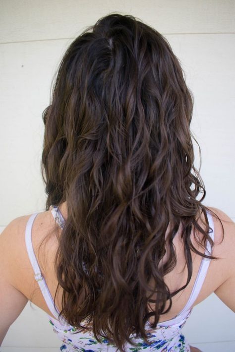 The Big Chop For Naturally Wavy Hair | Emily Reviews Big Wavy Hair Natural, Haircuts For Long Frizzy Wavy Hair, Mid Length Natural Wavy Hair With Layers, Long Layered Hair Natural Waves, Medium Natural Wavy Haircuts, Long Naturally Wavy Haircuts, Medium Wavy Hair Styles For Women, Best Haircut For Naturally Wavy Hair, Rounded Layers Wavy Hair