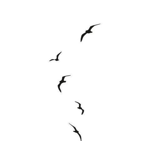 Seagull Tattoo Men, Small Flying Birds Tattoo Design, Seagull Silhouette Tattoo, Simple Flying Bird Tattoo, Bird Wrap Around Arm Tattoo, Tiny Seagull Tattoo, Flying Seagull Tattoo, Simple Seagull Tattoo, Small Seagull Tattoo