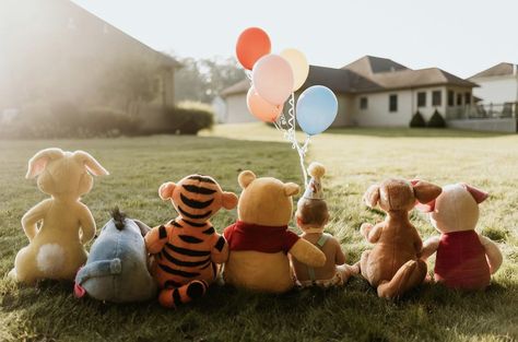 Levi Birthday, Pooh Cake, Baby Birthday Photoshoot, Winnie The Pooh Themes, Baby Milestones Pictures, Idee Babyshower, 1st Birthday Pictures, 1st Birthday Photoshoot, Milestone Pictures