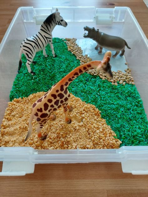 Safari Animals Sensory Bin, Zoo Messy Play Ideas, Safari Sensory Play, Safari Messy Play, Wild Animals Sensory Activities, Jungle Messy Play, Safari Tuff Tray Ideas, Jungle Sensory Bin, Safari Sensory Bin