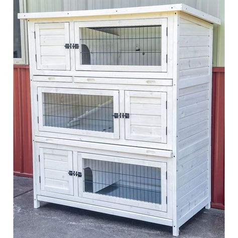 Rabbit hutch indoor