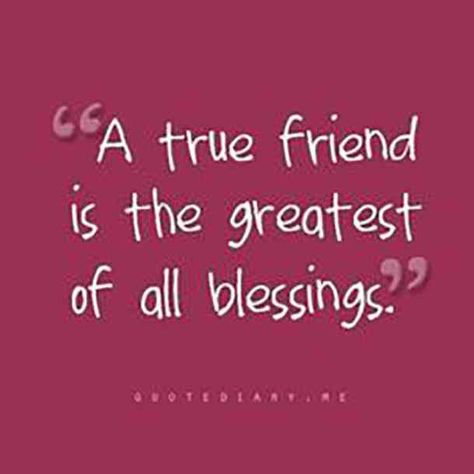 Cute Best Friend Quotes, Alcohol Quotes, Short Friendship Quotes, True Friendship Quotes, A True Friend, Best Friendship Quotes, Best Friends Quotes, Best Friendship, Friend Quotes