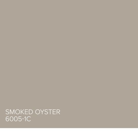 Here’s a tip from Genevieve Gorder: Smoked Oyster 6005-1C has slight red undertones and smoky overtones. Great color for dining room. Find more inspiration from our Valspar Perfect Neutrals Pinterest board: https://www.pinterest.com/valsparpaint/valspar-perfect-neutrals/  Lowe’s: Smoked Oyster 6005-1C ACE: Cliffside VR094C Indepedent: Shaggy Dog V133-3 Smoked Oyster Paint Valspar, Valspar Mushroom Paint Colors, Valspar Taupe Paint Colors, Valspar Smoked Oyster, Smoked Oyster Paint, Small Office Guest Room, Taupe Bathroom, Magnolia Style, Valspar Colors