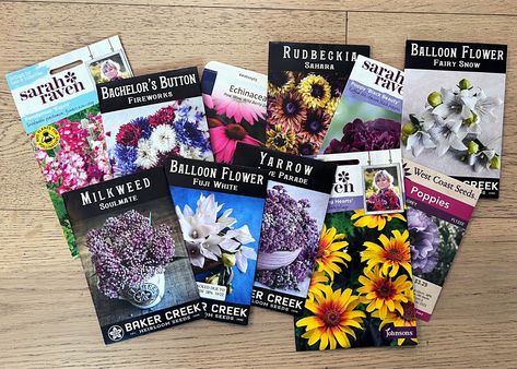 What Flower Seeds Need Cold Stratification, Winter Sowing Flowers, Winter Sowing Seeds Zone 6, Winter Sowing Zone 7, Seed Stratification, Winter Sowing Seeds, Seed Gardening, Hardy Annuals, Winter Planting