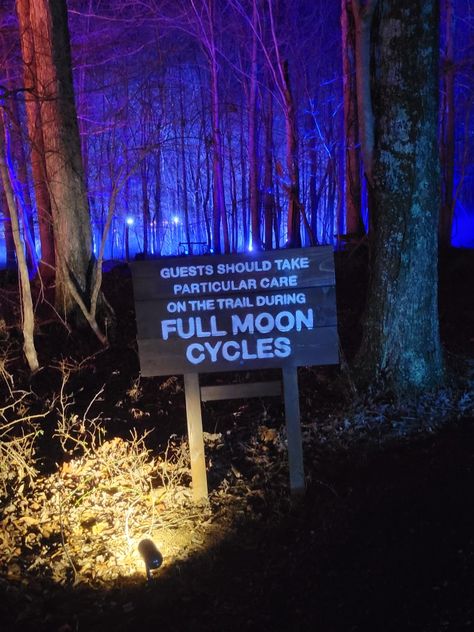 Harry Potter Forbidden Forest Experience, Harry Potter Forbidden Forest, Full Moon Cycle, Forbidden Forest, Moon Cycles, Full Moon, Harry Potter, Forest