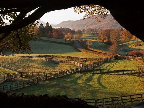 Lake District England, English Countryside, Nature Aesthetic, Pretty Places, Lake District, In The Fall, Farm Life, Great Places, The Fall