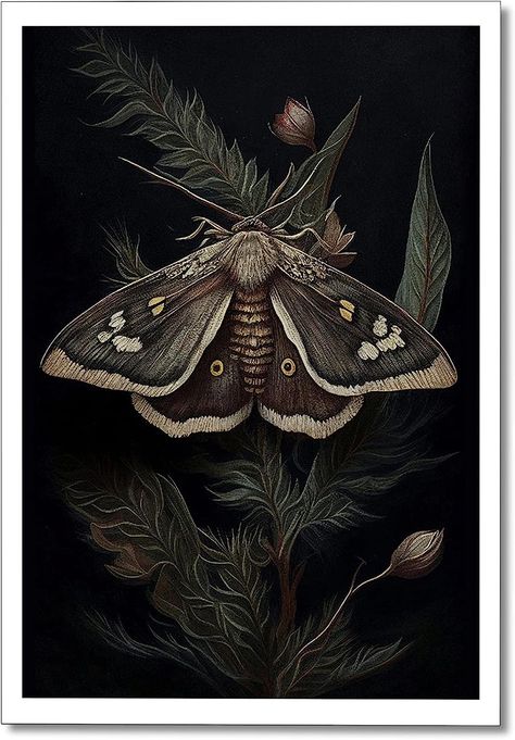 Moth Poster, Painting Dark Academia, Cottagecore Wall Decor, Gothic Cottagecore, Poster For Room, Dark Academia Gothic, Black Framed Art, Wall Art Botanical, Butterfly Canvas