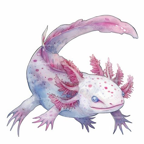 Cartoon Axolotl Clipart Marine Animals Watercolor Art Printable High Quality JPG Papercraft Junk Journal Scrapbooking Digital Download On Etsy: dreamweavecraftery.etsy.com #cute #cartoon #watercolor #clipart #art #papercraft #designing #craft #junkjournal #printable #download #scrapbooking #scrapbook #print #design #axolotl #marine #animals #marineanimals #sea #ocean #creature Axolotl Art Cute, Axolotl Watercolor, Axolotl Clipart, Axolotl Illustration, Axolotl Tattoo, Cartoon Axolotl, Axolotl Art, Art Papercraft, Axolotl Cute