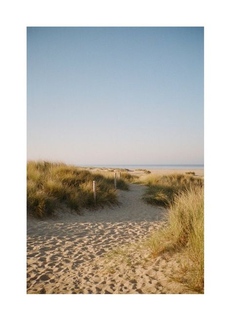 Beach (Contax T2, Kodak Pro Image 100) : analog Beach Film Photography, Mamiya 7, Contax T2, Beaches Film, Minimal Photography, Analog Photography, 35mm Photography, Film Photography 35mm, Film Inspiration