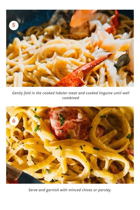 This luxurious lobster pasta combines tender lobster meat with linguine and a creamy, Parmesan-infused sauce. Pasta With White Wine, Wine Cream Sauce, White Wine Cream Sauce, Lobster Pasta, How To Cook Lobster, Lobster Meat, Creamy Parmesan, Lobster Recipes, Linguine