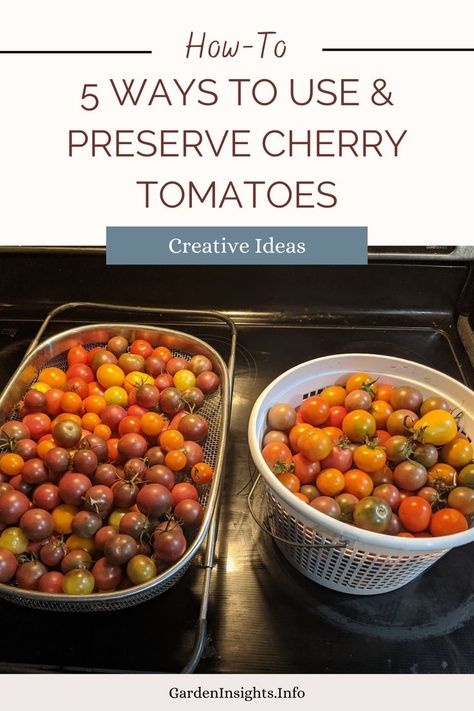 Cherry tomatoes are great for fresh eating, but only up to a point. For the past few weeks, I have been picking close to 10 pounds of cherry tomatoes per day. Keeping up with that volume requires a bit of creativity. Discover 5 ways I've been using and preserving an abundance of cherry tomatoes. What To Do With All My Cherry Tomatoes, How To Use Frozen Cherry Tomatoes, Abundance Of Cherry Tomatoes, Ways To Use Up Cherry Tomatoes, Use Up Cherry Tomatoes, Recipes To Use Up Cherry Tomatoes, Sweet 100 Cherry Tomatoes, Ways To Use Cherry Tomatoes, Canned Cherry Tomatoes Recipes