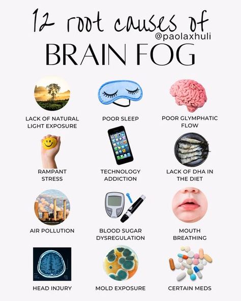 Brain Fog Remedies, Lifestyle Medicine, Cellular Health, Executive Functions, Low Estrogen Symptoms, Mold Exposure, Brain Facts, Memory Problems, Attention Span