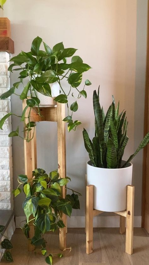 Tanaman Indoor, Tanaman Pot, Corner Plant, نباتات منزلية, Hanging Plants Indoor, Home Design Inspiration, Diy Plant Stand, Plant Decor Indoor, Plant Stand Indoor