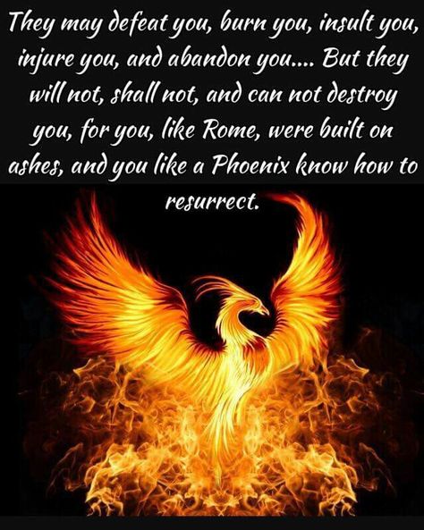 Pheonix Quotes Inspirational, Phoenix Quotes, Bohemian Quotes, Rise Quotes, Phoenix Bird Tattoos, Phoenix Artwork, Phoenix Images, Phoenix Art, Phoenix Rising