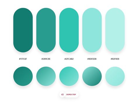 Flat Color Palette, Gradient Color Design, Website Color Palette, Hex Color Palette, Pharmacy Design, Brand Color Palette, Color Palette Design, Hex Colors, Colour Schemes