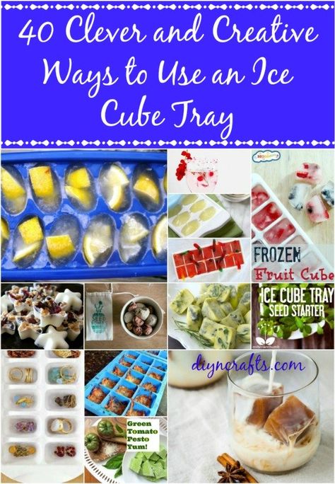 40 Clever and Creative Ways to Use an Ice Cube Tray – Page 4 of 4 – DIY... Ice Tray Recipes, Ice Cube Tray Hacks, Ice Cube Tray Recipes, Ice Trays, Silicone Ice Cube Tray, Ice Cube Trays, Frozen Fruit, Ice Cube Tray, Ice Cubes