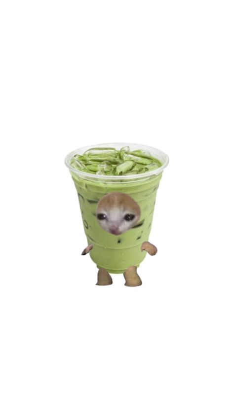 Matcha Recipe, Gloomy Day, Kids Pictures, Reaction Pictures, Cat Memes, Girly Things, Cute Stickers