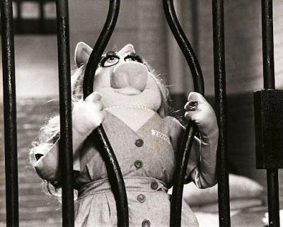 Fraggle Rock, The Muppet Show, Miss Piggy, Behind Bars, Jim Henson, Bending, Sesame Street, Reaction Pictures, Mood Pics