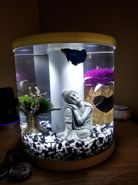 Berta Fish Tank Ideas, Cute Betta Fish Tank Ideas, Glofish Tank Ideas, Pretty Fish Tank, Small Fish Tank Ideas, Beta Tank, Fake Fish Tank, Fish Aquarium Decorations, Fish Tank Themes