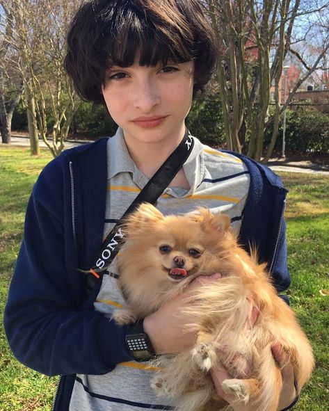 Stranger Things Behind the Scenes Season 3 with Finn Wolfhard, Mike Wheeler, Dog Finn Wolfhard, Stranger Things, A Small