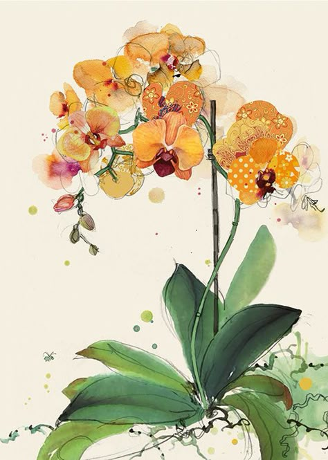 Bug Art – Quality greeting cards Orange Orchid Flower, Orchid Drawing Watercolor, Orchid Illustration Drawing, Orchid Art Painting, Watercolor Orchids Painting, Orange Flowers Drawing, Watercolour Orchid, Watercolor Orchid, Orchid Painting