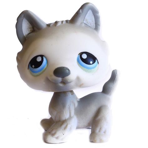 Lps Dog, Lps Toys, Lps Pets, Lps Littlest Pet Shop, Littlest Pet Shop, Lps, Pet Shop, Photo Album, Eye Candy