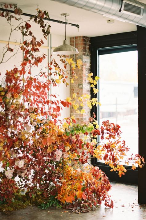 Fall Floral Installation by Wither and Bloom Designs in East Tennessee — Fall Photography Inspiration for Photoshoot — Foraged Fall Branch Installation in Industral Downtown Studio — East Tennesseee Fall Photos — Autumn Photography by Erin McCall Fall Floral Installation, Fall Leaves Decor Ideas, Branch Installation, Tennessee Fall, Autumn Window Display, Harvest Wedding, Fall Leaf Decor, Fall Windows, Fall Fireplace