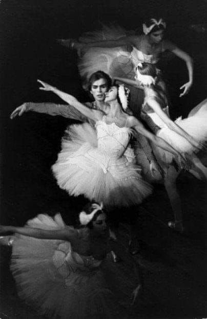 Friends Who Love Classical Ballet | 🕺💃 Rudolf Nureyev and Margot Fonteyn Margot Fonteyn, Grey Scale, Rudolf Nureyev, Ballet Beauty, Russian Ballet, Classical Ballet, Ballet Photography, Ballet Beautiful, Modern Dance