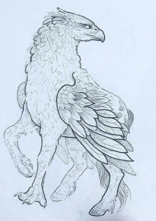 Mythical Creatures Line Art, Griffin Drawing Mythical Creatures, Hypogriff Drawing, How To Draw A Griffin, Mystical Creatures Sketches, Harry Potter Creatures Drawing, Mythical Creatures Sketches, Hippogriff Drawing, Mythological Creatures Drawings