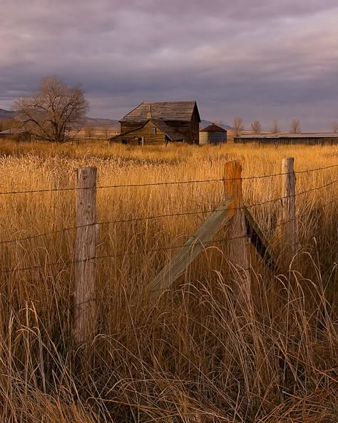 Barn Photography, Barn Pictures, Country Barns, Farm Houses, Country Barn, Farm Scene, Farm Barn, Country Scenes, Red Barns