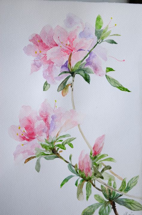 watercolor Azalea Watercolor Paintings, Azalea Watercolor, Azaleas Flower, Nature Sketch, Pink Watercolor Flower, Flower Watercolor, Watercolor Flower Art, Watercolor Portrait, Botanical Watercolor