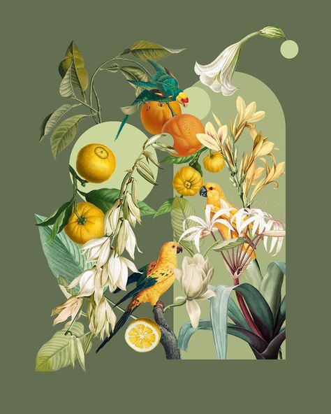 캐릭터 드로잉, Arte Inspo, Illustration Graphic Design, Alam Semula Jadi, Arte Floral, Graphic Design Posters, Digital Collage, Botanical Illustration, Botanical Art