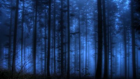 Dark blue forest wallpaper #2346 Firefly Images, Kou Diabolik Lovers, Black And Blue Wallpaper, Blue Aesthetic Dark, Dark Blue Wallpaper, Blue Lightning, Blue Fairy, Blue Forest, Forest Wallpaper