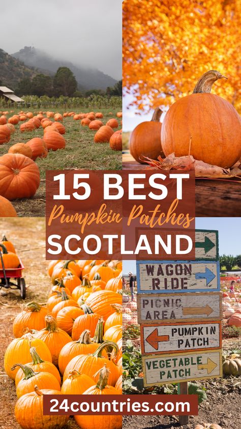 Omg, this list of the 15 best pumpkin patches Scotland is amazing and so detailed! I used this blog post to pick my own perfect pumpkin patch to visit for Halloween 2023 #pumpkinpatchscotland #pumpkinpatchesscotland #pumpkinpatchesglasgow Scotland Highlands Travel, Scotland Food, Scotland Aesthetic, Inverness Scotland, Europe Travel Essentials, Scotland Travel Guide, Best Pumpkin Patches, Aberdeen Scotland, Photography Group