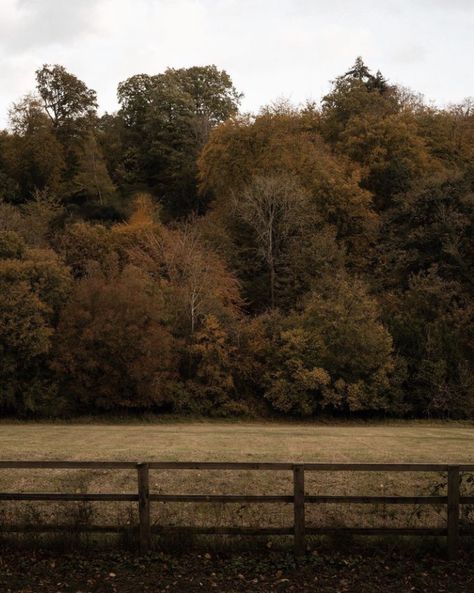 English Countryside Aesthetic, Countryside Outfit, Lydia Elise Millen, England Aesthetic, Foggy Weather, Color Vibe, Countryside House, Love Always, English Countryside