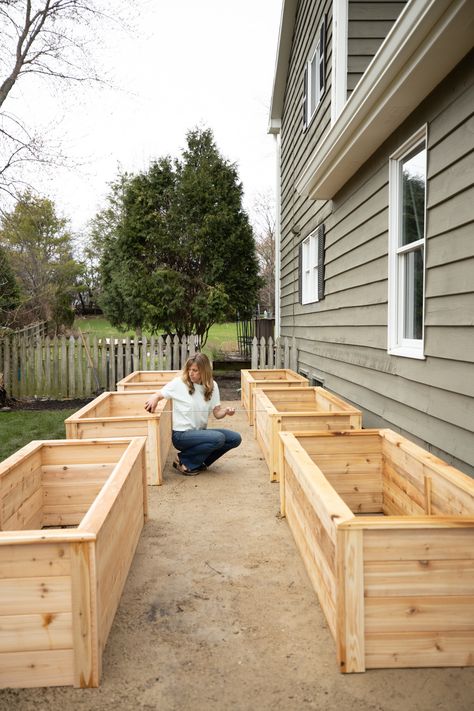 How Deep Should Your Raised Garden Beds Be? • Gardenary Raised Garden Designs, Type Of Plants, Starter Garden, Raised Garden Beds Diy Vegetables, Plants For Raised Beds, Building Raised Beds, Cedar Raised Garden Beds, Raised Bed Garden Design, Raised Vegetable Gardens