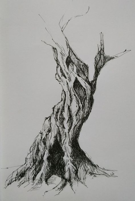 Tree Ink Sketch, Nature Pen Art Ink Drawings, Ink Trees Drawing, Ink Nature Drawing, Ink And Pencil Drawing, Trees Pen Drawing, Ink Drawing Tree, Nature Ink Drawing, Nature Pen Art