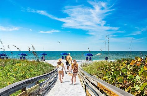 Caladesi Island, Florida Caverns State Park, Caladesi Island State Park, Best Beach In Florida, Florida Travel Destinations, Cheap Vacations, Florida Travel Guide, Florida State Parks, Family Beach Trip