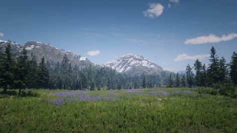 Rdr2 landscape Rdr2 Landscape, Rdr2 Scenery, Red Dead Redemption Ii, Red Dead, Red Dead Redemption, Art References, Nature Beauty, Art Reference, Paint