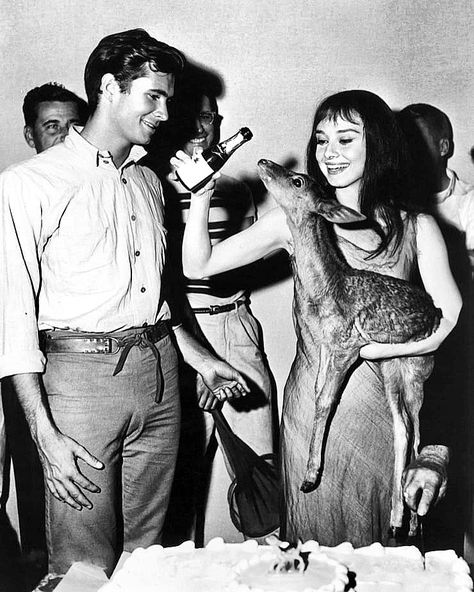 Anthony Perkins & Audrey Hepburn on the set of - Green Mansions (1959) Pet Deer, Barbara Streisand, Mode Rock, Michael Bolton, Melanie Griffith, Anthony Perkins, Jane Seymour, Humphrey Bogart, Person Of Interest