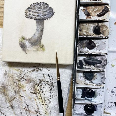 Lara Call Gastinger (@laragastinger) • Instagram photos and videos Lara Gastinger, Little Mushroom, Watercolor Mixing, Wood Panel, So Sweet, Old Man, Stuffed Mushrooms, Instagram Photos, Photo And Video