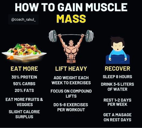 Losing Weight Building Muscle, Muscle Gain Plan For Women, Protien Meals To Gain Muscle For Women, How To Gain Muscle Mass Men, Workout To Gain Muscle, Eating To Gain Muscle, Muscle Gain Meal Plan, Bulking Meals, Muscle Gain Diet