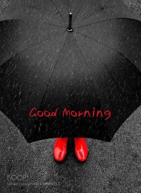 Rainy Day Good Morning Images, Rainy Saturday Morning, Rainy Good Morning, Sunday Rain, Good Morning Rainy Day, Rainy Day Quotes, Happy Sunday Morning, Friday Pictures, Rainy Saturday