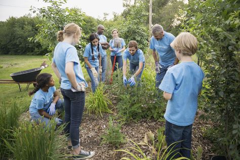 Discover Christian environmental organizations that help us understand the importance of environmental stewardship. World Environment Day Activities, Environment Day Activities, Volunteering Ideas, Activities Ideas, Environmental Studies, Environment Day, World Environment Day, Environmental Conservation, Environmental Education