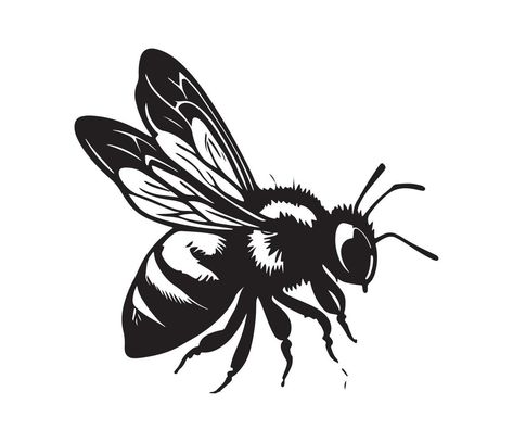 Honey Bee icon, honey bee silhouette Honey Bee Silhouette, Bee Vector, Bee Silhouette, Bee Icon, Bee Illustration, Line Art Vector, Honey Bee, Line Art, Vector Art