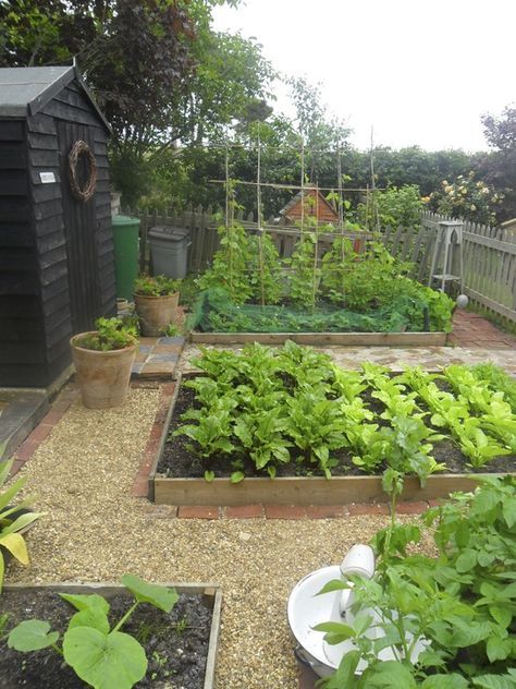 Allotment garden inspiration | Hello Victoria Raised Garden Bed Plans, Edging Plants, Vegetable Garden Raised Beds, Allotment Gardening, Small Vegetable Gardens, Vegetable Garden For Beginners, Diy Raised Garden, Potager Garden, Backyard Vegetable Gardens