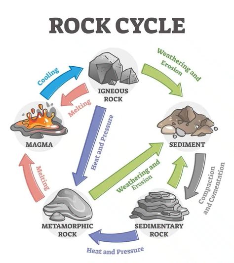 The Rock Cycle Explained - Activities & Worksheets - The Homeschool Scientist Rock Cycle Diagram, Rock Cycle Project, Rock Cycle Activity, Different Types Of Rocks, Araling Panlipunan, Weathering And Erosion, Rock Cycle, Teaching Geography, Geography Lessons